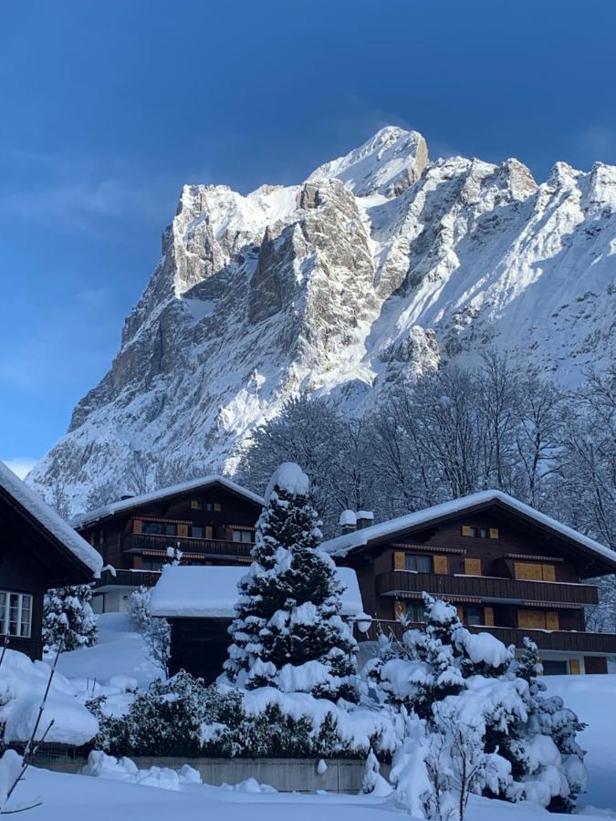 Chalet Sunneblick グリンデルヴァルト エクステリア 写真