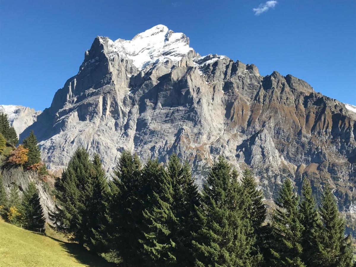 Chalet Sunneblick グリンデルヴァルト エクステリア 写真